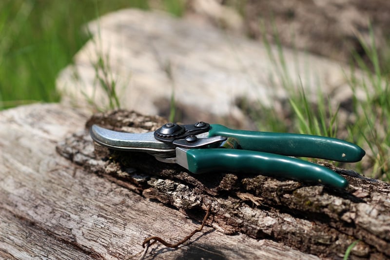 Pruning Vertical Plants