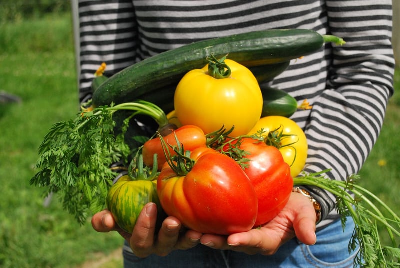 Vertical Garden Vegetables